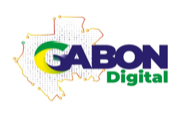 Gabon Digital, accueil du portail